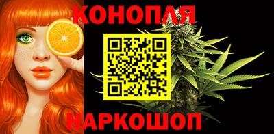 сатива Будённовск