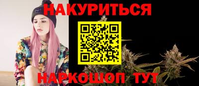 сатива Будённовск