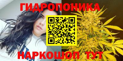 сатива Будённовск