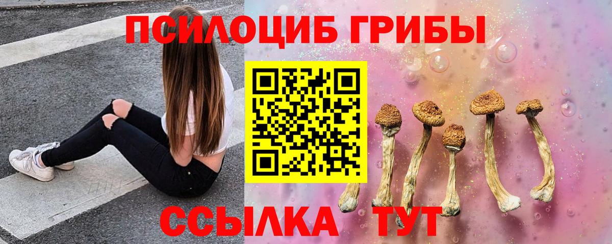 Галлюциногенные грибы Psilocybe  как найти закладки  Краснотурьинск  Вход с VPN  Галлюциногенные грибы мухоморы 